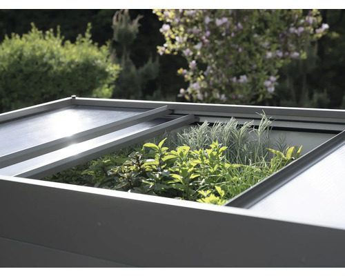 Jardinieră înălțată cu capac deschis, plantată cu ierburi aromatice