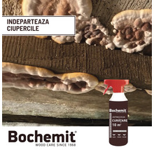 Lemn cu infestare fungică și flacon spray Bochemit pentru eliminarea ciupercilor