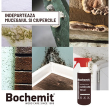 Imaginea produsului Bochemit pentru îndepărtarea mucegaiului, pentru utilizare împotriva mucegaiului și a ciupercilor pe lemn, pereți și piatră