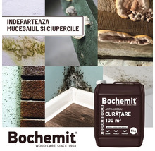 Colaj de imagini despre utilizarea soluției de curățare antimucegai Bochemit