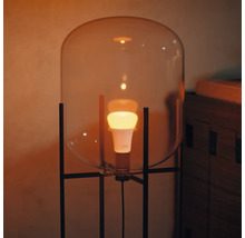 Lampă de podea cu cupolă de sticlă și sursă de lumină