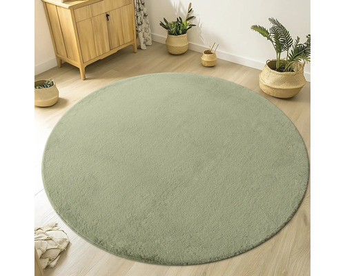 Covor rotund în sufragerie cu comodă și plante de interior