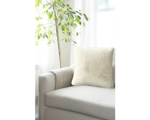 Pernă decorativă pe o canapea lângă o plantă de apartament