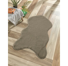 Covor decorativ de formă neregulată pe o podea de lemn