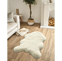 Cameră de zi cu canapea, șemineu, plantă de interior și covor cu aspect de blană