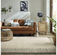 Living cu covor, canapea, măsuță laterală și elemente decorative pentru o atmosferă confortabilă.