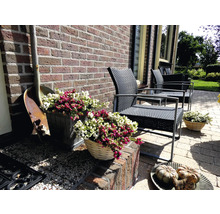 Terasa cu mobilier de grădină, jardiniere și decorațiuni în fața unui zid de cărămidă.