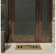 Zonă de intrare cu preș și ușă de intrare