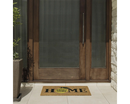 Zonă de intrare cu preș și ușă de intrare