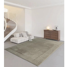 Living modern cu covor, canapea și comodă