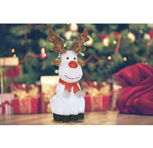 Ren decorativ cu iluminare pentru perioada Crăciunului.