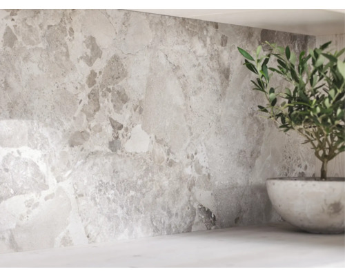 Decor de perete cu plăci cu aspect de marmură și o plantă la ghiveci pe blatul de lucru