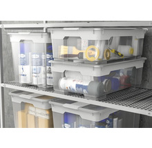 Mai multe cutii transparente din plastic cu capac stau într-un raft.