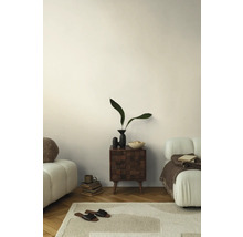 Living cu canapea, covor și măsuță laterală cu decorațiuni