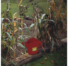 Ucătoare roșie în grădina de legume printre plante