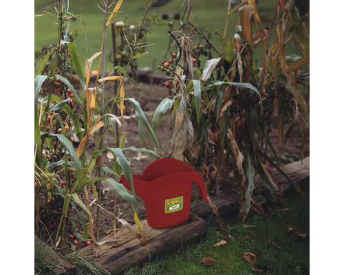 Ucătoare roșie în grădina de legume printre plante