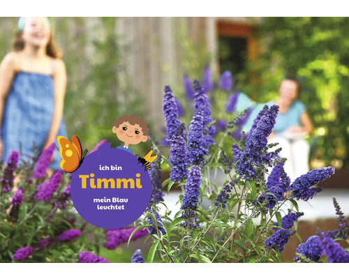 Arbust de fluturi în grădină cu un copil în fundal