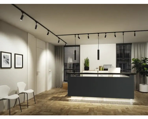 Interior luminos cu sistem de iluminat linear, mobilier de birou și plante