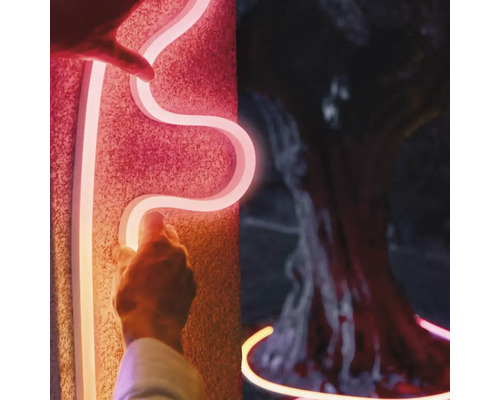 Furtun luminos cu neon fixat pe perete și așezat în jurul unui copac.