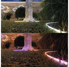 Grădină cu copac, arbuști, gazon și iluminat decorativ