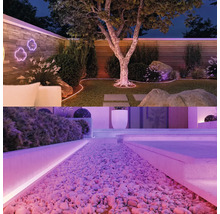 Grădină iluminată cu copac, gazon și pietre decorative