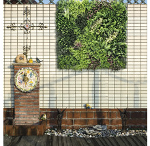 Grădină decorativă cu strat de flori vertical, ornament și sculpturi