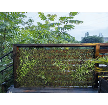 Perete decorativ cu plante verzi și cadru de lemn pentru exterior