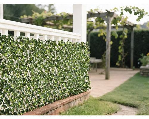 Covor decorativ cu frunze verzi ca paravan de intimitate în grădină.