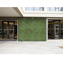 Fațadă cu gard viu artificial și zonă de intrare cu uși de sticlă