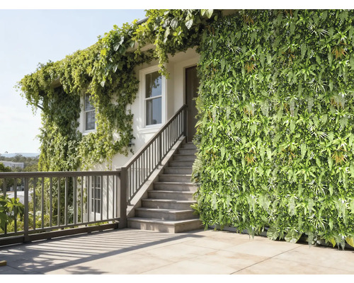 Fațadă de casă cu grădină verticală și plante cățărătoare