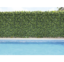 Perete decorativ verde cu plante lângă o piscină.
