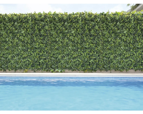 Perete decorativ verde cu plante lângă o piscină.