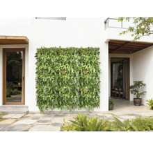 Perete decorativ verde de plante pe o fațadă a casei pentru exterior.