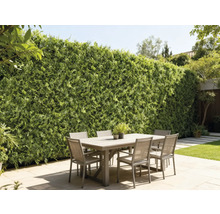 Scenă de exterior cu masă de sufragerie și perete verde ca paravan de confidențialitate în grădină.