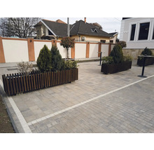 Exterior cu jardiniere din lemn și copaci plantați