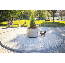 Peisaj de parc cu pavaj trotuar, bănci și jardinieră din beton plantată
