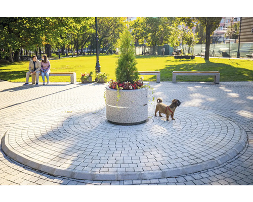 Peisaj de parc cu pavaj trotuar, bănci și jardinieră din beton plantată