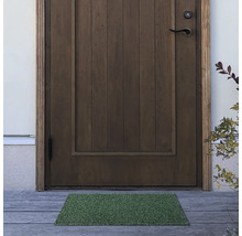 Zonă de intrare cu ușă din lemn și covoraș verde