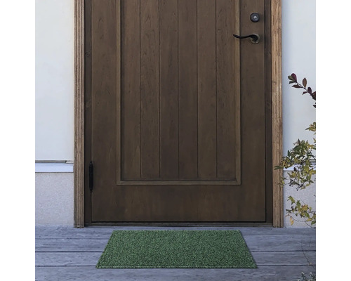 Zonă de intrare cu ușă din lemn și covoraș verde