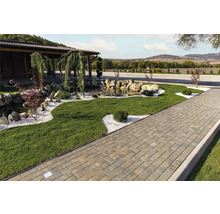 Fotografie de peisaj cu grădină, iaz și potecă pavată