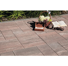 Pavarea cu pavele de exterior cu decorațiuni