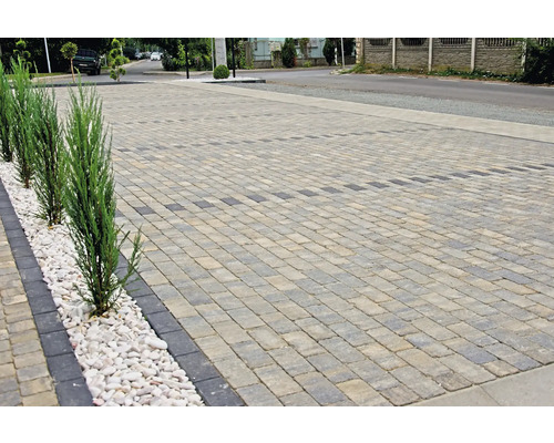 Alee pavată cu pietre decorative și plante