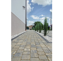 Alee pavată cu pietriș decorativ și plante