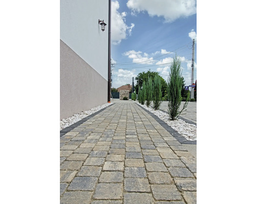 Alee pavată cu pietriș decorativ și plante