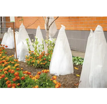 Grădină cu plante acoperite cu material textil de protecție împotriva înghețului