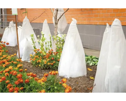 Grădină cu plante acoperite cu material textil de protecție împotriva înghețului