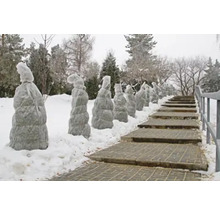 Peisaj de iarnă cu scări și plante sub protecții anti-îngheț