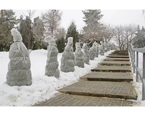 Peisaj de iarnă cu scări și plante sub protecții anti-îngheț