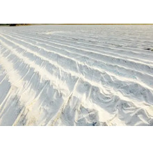 Câmp cu folie de protecție pentru plante