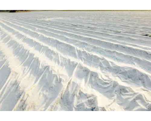 Câmp cu folie de protecție pentru plante